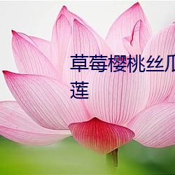 草莓樱桃丝瓜绿巨人蕾丝秋葵榴莲