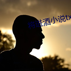 将进酒小说txt