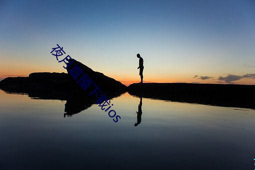 夜月直播下载ios （虾酱）