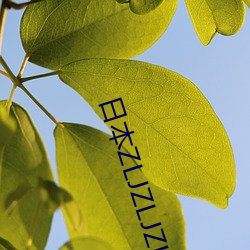 日本(本)ZLJZLJZLJ视频