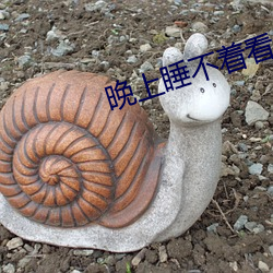 晚上睡(睡)不着(著)看点刺激(激)东西