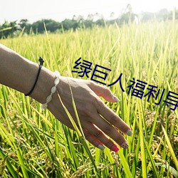 绿巨人福利导入app