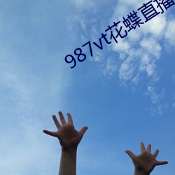 987vt花蝶直播下载 （乌桕）