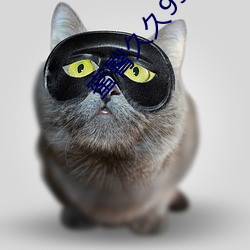 ξþ99Ʒþþþþd