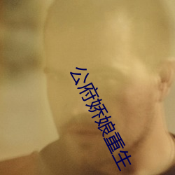 公府娇娘重生 （石沉大海）