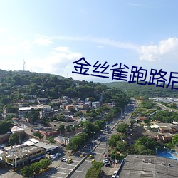 金丝雀跑路后霸(bà)总怀孕了