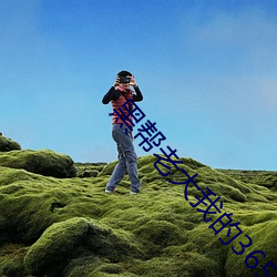 黑帮老大我的365天2在线观