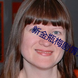 新金(jīn)瓶梅(méi)剧情介绍(shào)(1