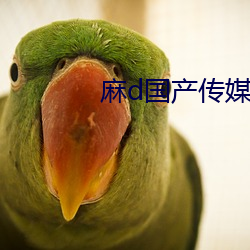 麻d国产传媒大象蜜桃