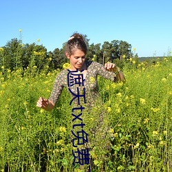 遮天txt免费下载