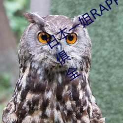 日本一姐RAPPER潮水太多一(yī)功(gōng)能一应俱全