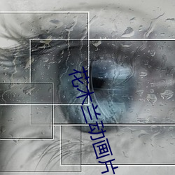 花木兰动画片免费观看完整 （亡国之社）