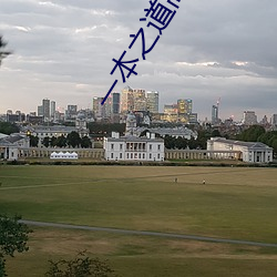 一本之道高清在线观看一区