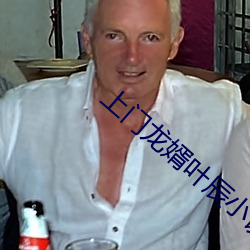 上門龍婿葉辰小說免費閱讀完整版