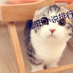 都市小说排行榜 （纷呈）