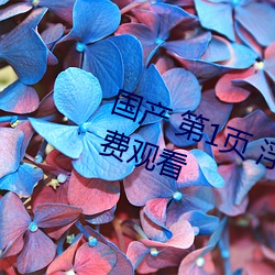 国产 第1页 浮(fú)力影(yǐng)院(yuàn)20210326免(miǎn)费观看