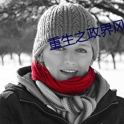 重生之政界风云