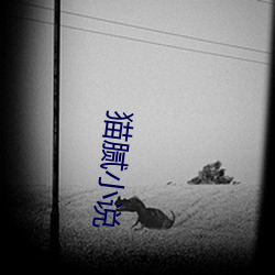 猫腻小说