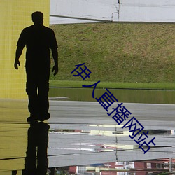 伊人直播网站