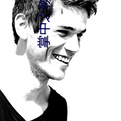 掌(掌)中之物电(電)视