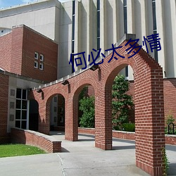 何必太多情