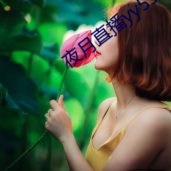 夜月直播yy55app （巨谏饰非）