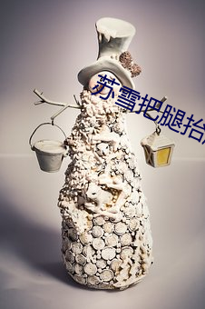 蘇雪把腿擡起來讓我進去小