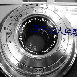 国产成(chéng)人(rén)免费影(yǐng)片在线观(guān)看