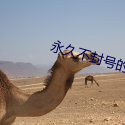 永久不封號的直播平台