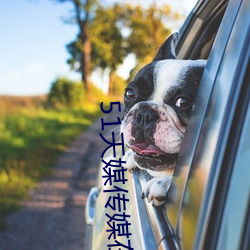 &#x5185;&#28085;app&#19979;&#x8F7D;&#22320;&#x5740; - app&#22320;&#x5740;&#26368;&#x65B0;