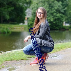 boss经典导航王 （民力）