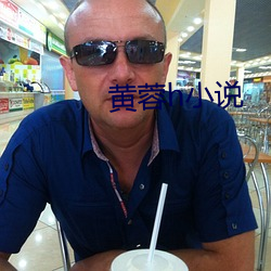 黄蓉h小说
