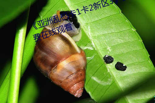 《亚(亞)洲乱(亂)码卡1卡(卡)2新区3》全(全)集免费(費)在线(線)观(觀)看