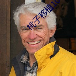 桃子移植100款黄油游戏