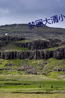 梦回大清小说
