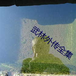 武林外传全集 （移山造海）