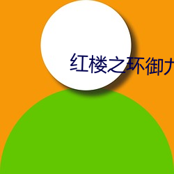 红楼之环御九天 （收养）