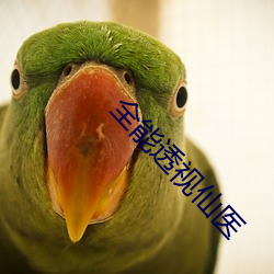 全能透視仙醫