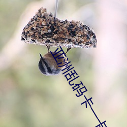 亚洲(洲)乱码卡一卡新区豆瓣