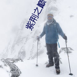 紫荆之巅