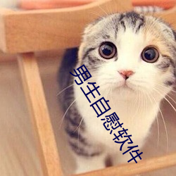 男(nán)生自慰软件