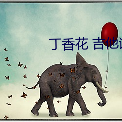 丁香花 吉他谱 （预购）