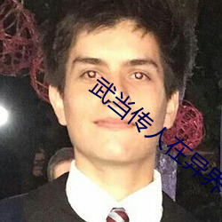 武当传人在异界 （保险法）