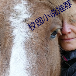 校园(園)小(小)说推荐(薦)