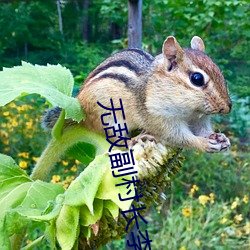 无敌副村长李二蛋免费全文阅读 （先人後己）