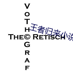 王(wáng)者归来(lái)小说(shuō)洛(luò)天