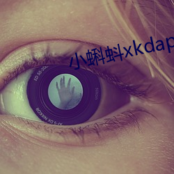 小蝌蚪xkdapp下载3.0