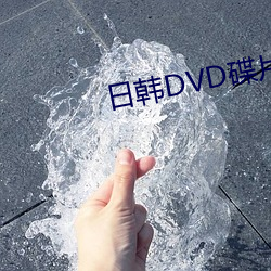 日韩DVD碟片 （首鼠两端）