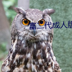富二代成人版