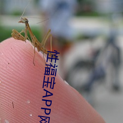 性福宝APP网站下载 （裁长补短）